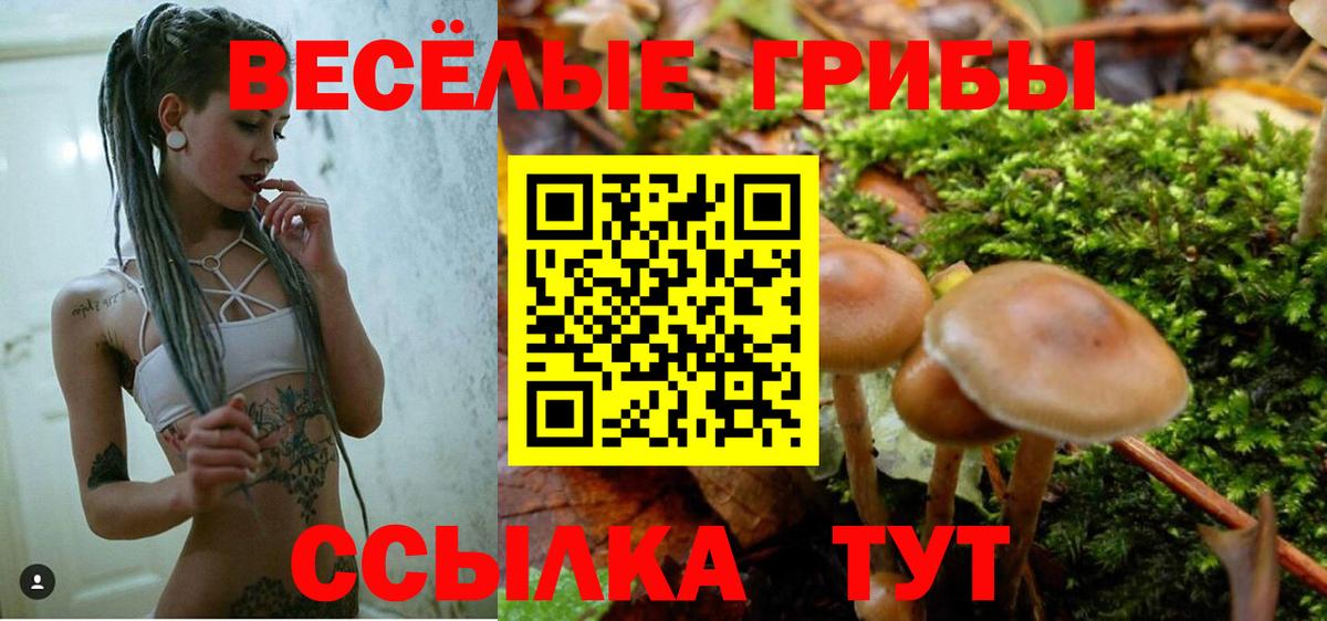 Галлюциногенные грибы ЛСД  Вход с VPN  Выборг 
