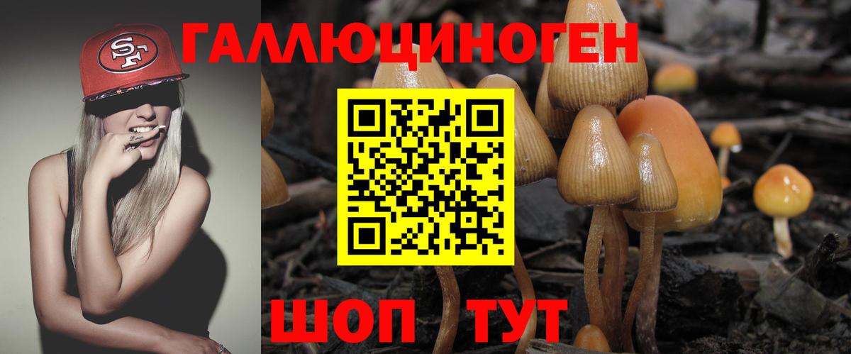 Галлюциногенные грибы прущие грибы Выборг